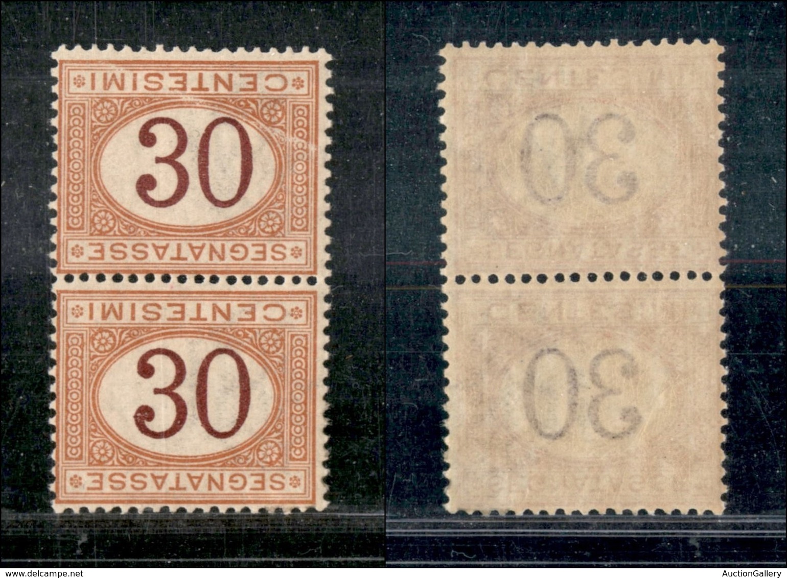 Regno - Segnatasse - 1890 - 30 Cent (23a) - Coppia Verticale Con Cifre Capovolte - Gomma Integra (60) - Altri & Non Classificati