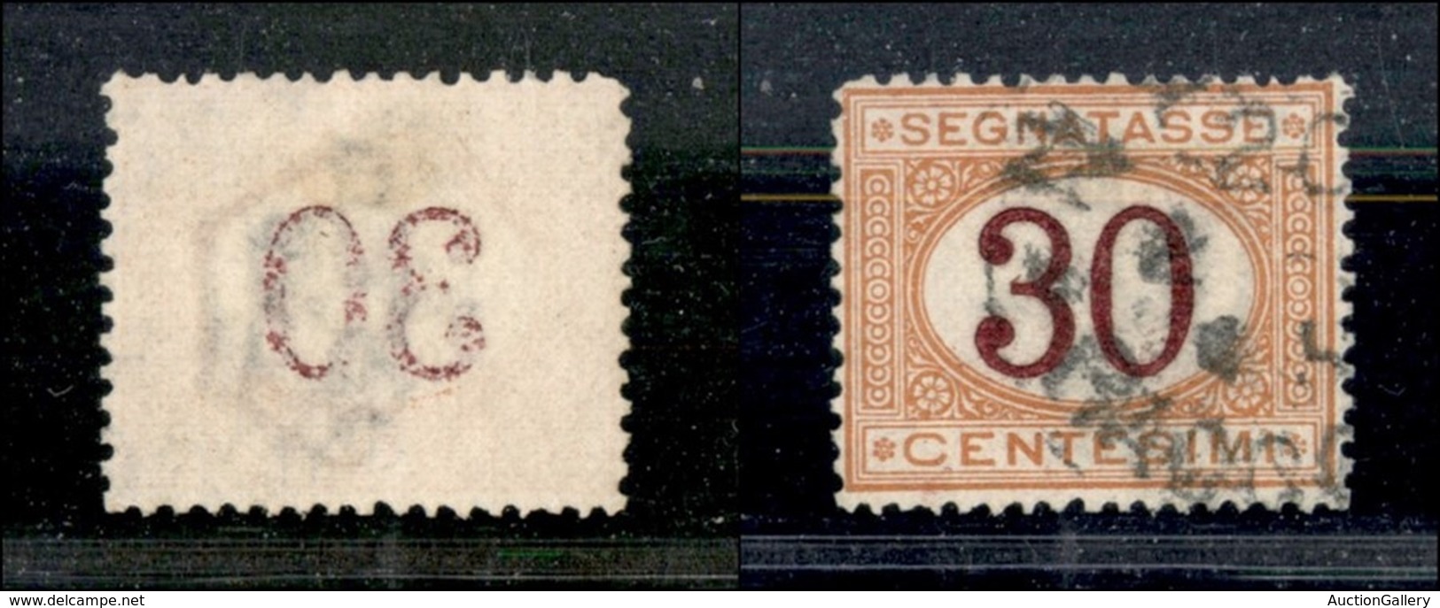 Regno - Segnatasse - 1890/1894 - 30 Cent Segnatasse (23n) Con Decalco Della Cifra - Usato (35) - Altri & Non Classificati