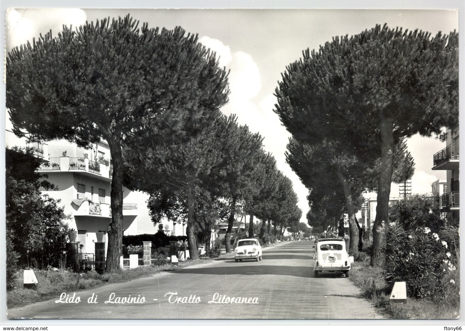 MA19 Cartolina Lido Di Lavinio - Tratto Litoranea Anzio (Roma) FG VG 1969 - Panoramic Views