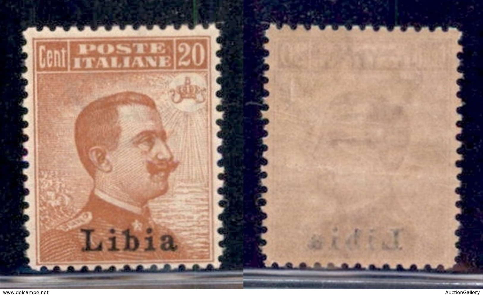 Colonie - Libia - Posta Ordinaria - 1918 - 20 Cent (20) - Gomma Originale (12) - Otros & Sin Clasificación