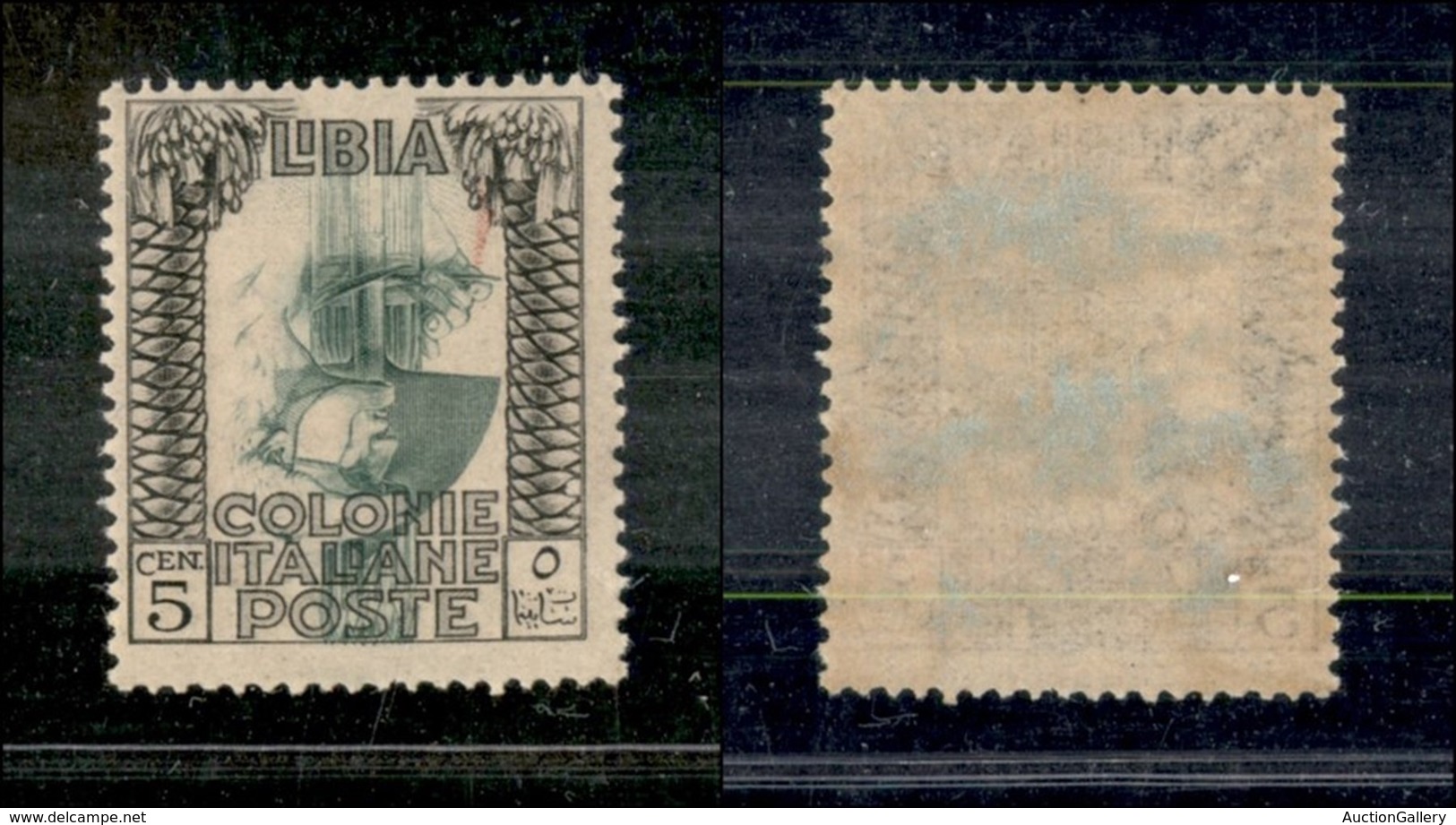 Colonie - Libia - Posta Ordinaria - 1921 - 5 Cent Pittorica (23c) - Centro Capovolto - Gomma Originale - Altri & Non Classificati