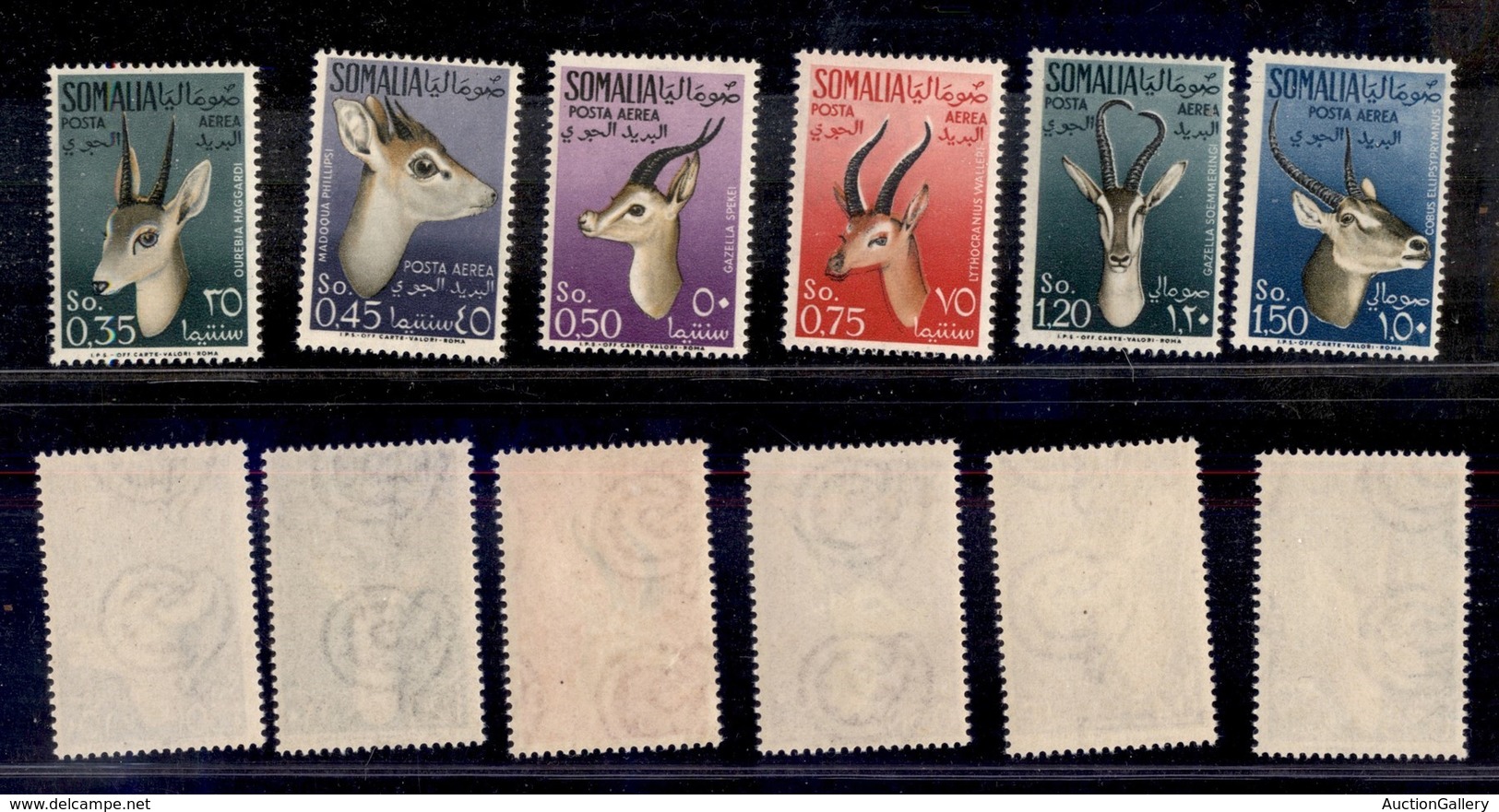 Occupazioni Straniere Delle Colonie - Somalia A.F.I.S. - Posta Aerea - 1955 - Animali (26/31) - Serie Completa - Gomma I - Altri & Non Classificati