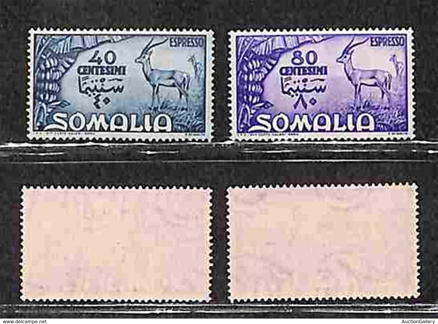 Occupazioni Straniere Delle Colonie - Somalia A.F.I.S. - Espressi - 1950 - Espressi (1/2) - Serie Completa - Gomma Origi - Other & Unclassified