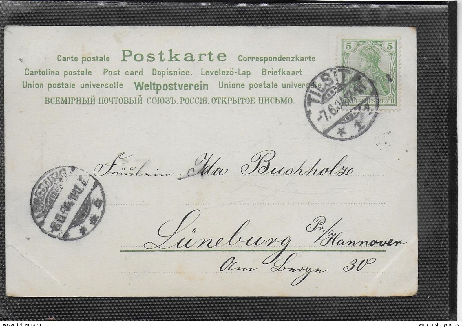 AK 0346  Blumengruss - Verlag Schmidt Um 1904 - Blumen