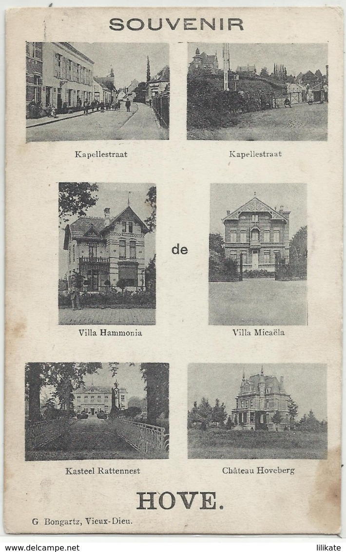 HOVE - Souvenir De Hove (Kapellestraat, Villa Hammonia, Micaëla, Kasteel Rattennest, Hoveberg 1914 - Hove