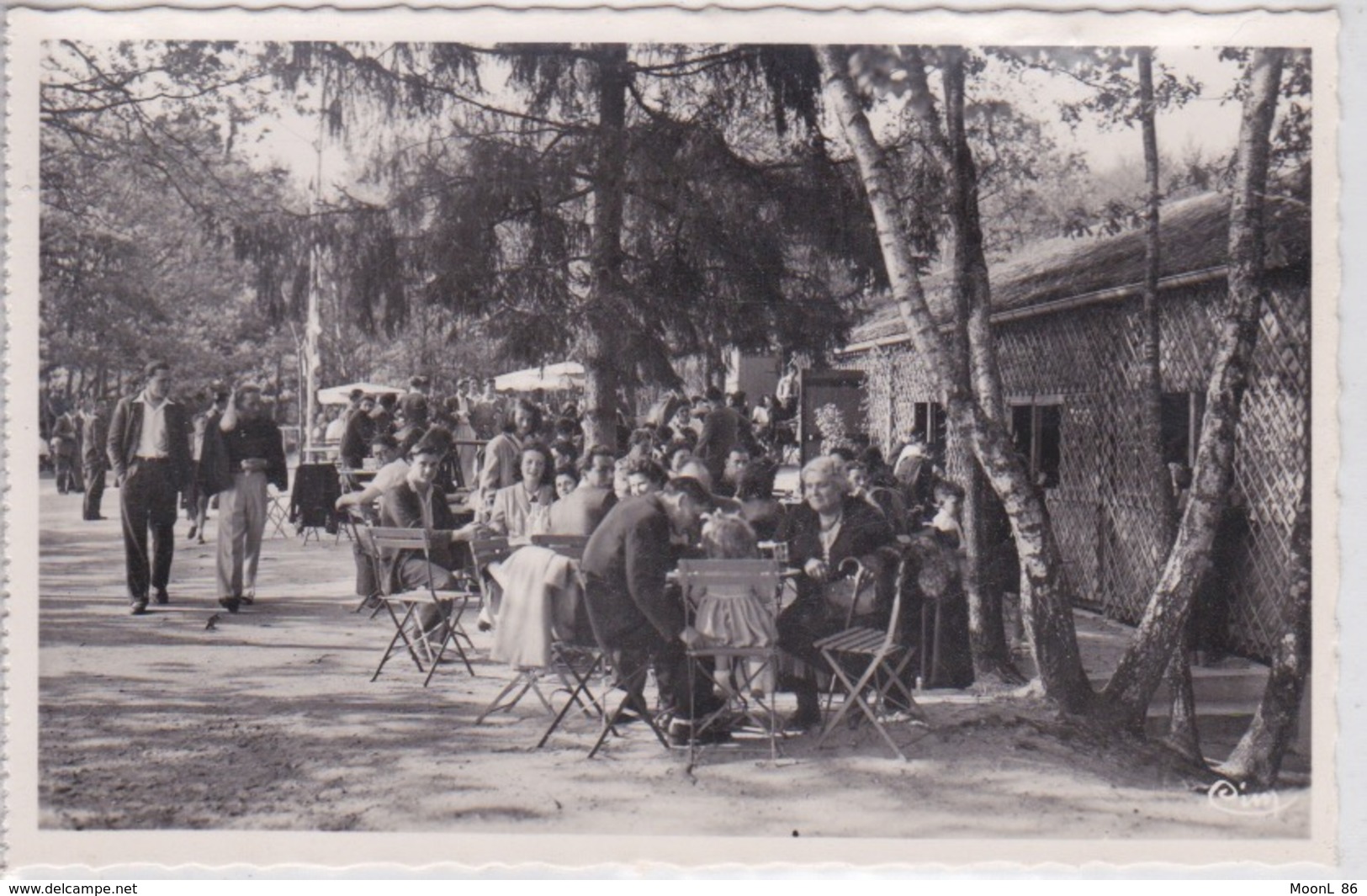 18 - LA GUERCHE SUR L'AUBOIS - LE STADE NAUTIQUE - LA TERRASSE DU BAL - La Guerche Sur L'Aubois