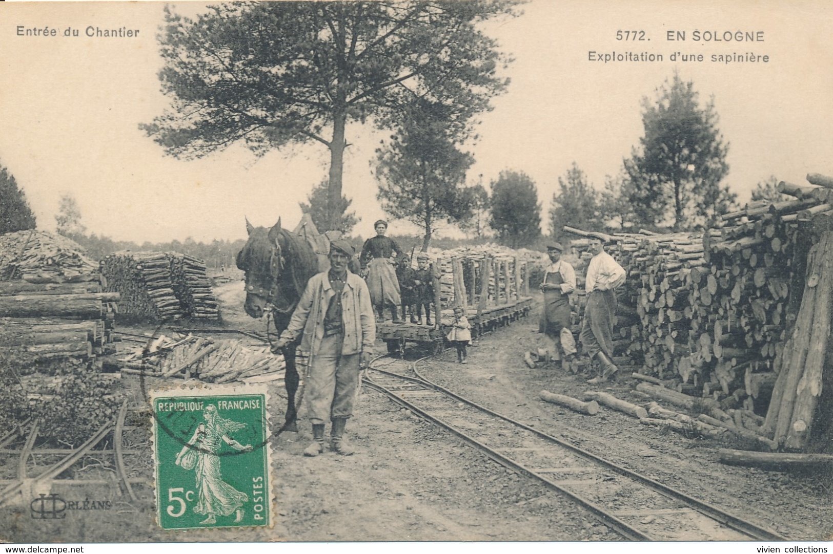 En Sologne - Exploitation D'une Sapinière - Cheval De Trait - Wagon - édit LL N° 5772 Circulée 1916 - Autres & Non Classés