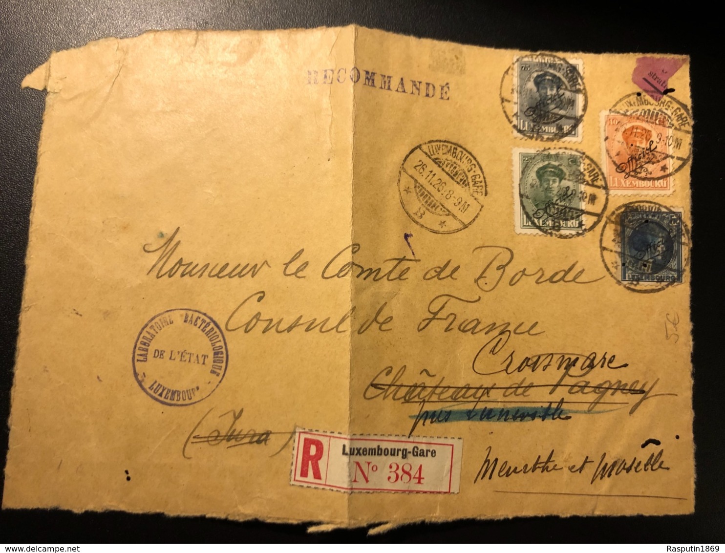 Luxemburg * 1926 Charlotte Offiziell Und Lochungen Briefvorderseite ! Selten ! - Service