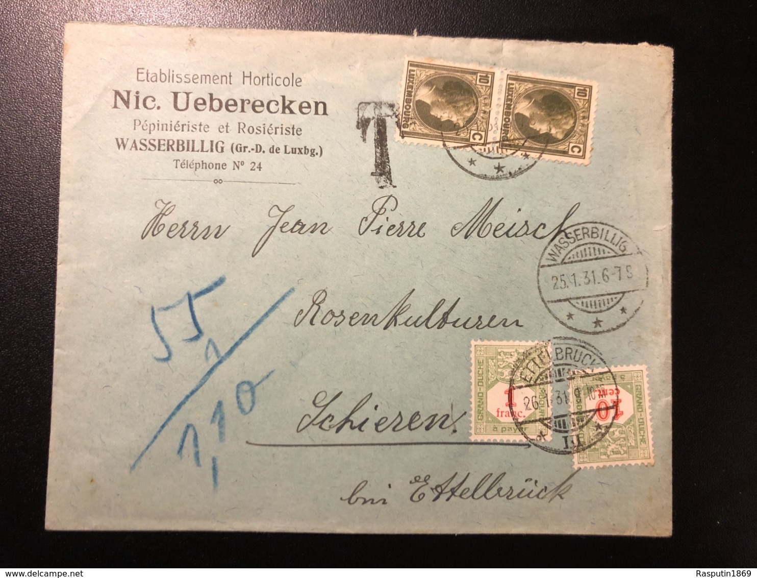 Luxemburg * 1931 Brief Von Wasserbillig Via Ettelbrück - Établissement Horticole Nic Überecken - Taxe - Strafport