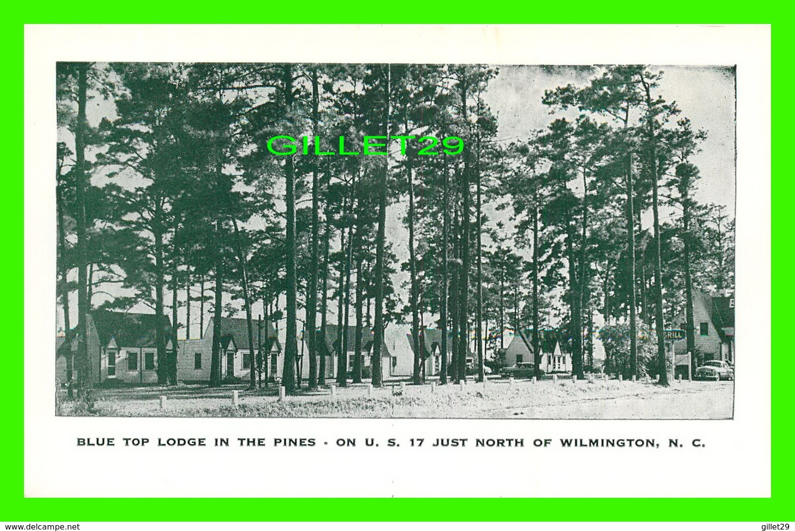 WILMINGTON, NC - BLUE TOP LODGE & COTTAGES IN THE PINES ON U.S. 17 - - Wilmington