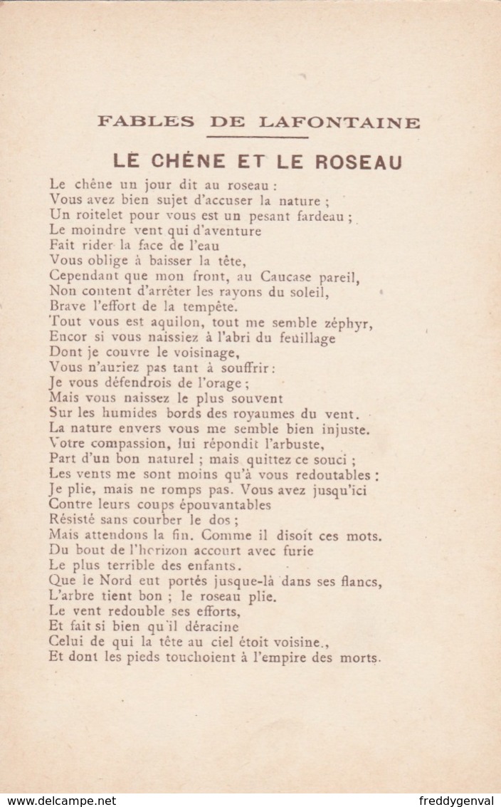 FABLE DE LA FONTAINE LE CHENE ET LE ROSEAU - Contes, Fables & Légendes