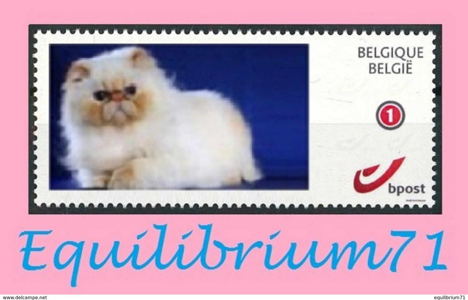 DUOSTAMP** / MYSTAMP** - Chat Persan / Perzische Kat / Persian Cat / Perserkatze - Chats Domestiques