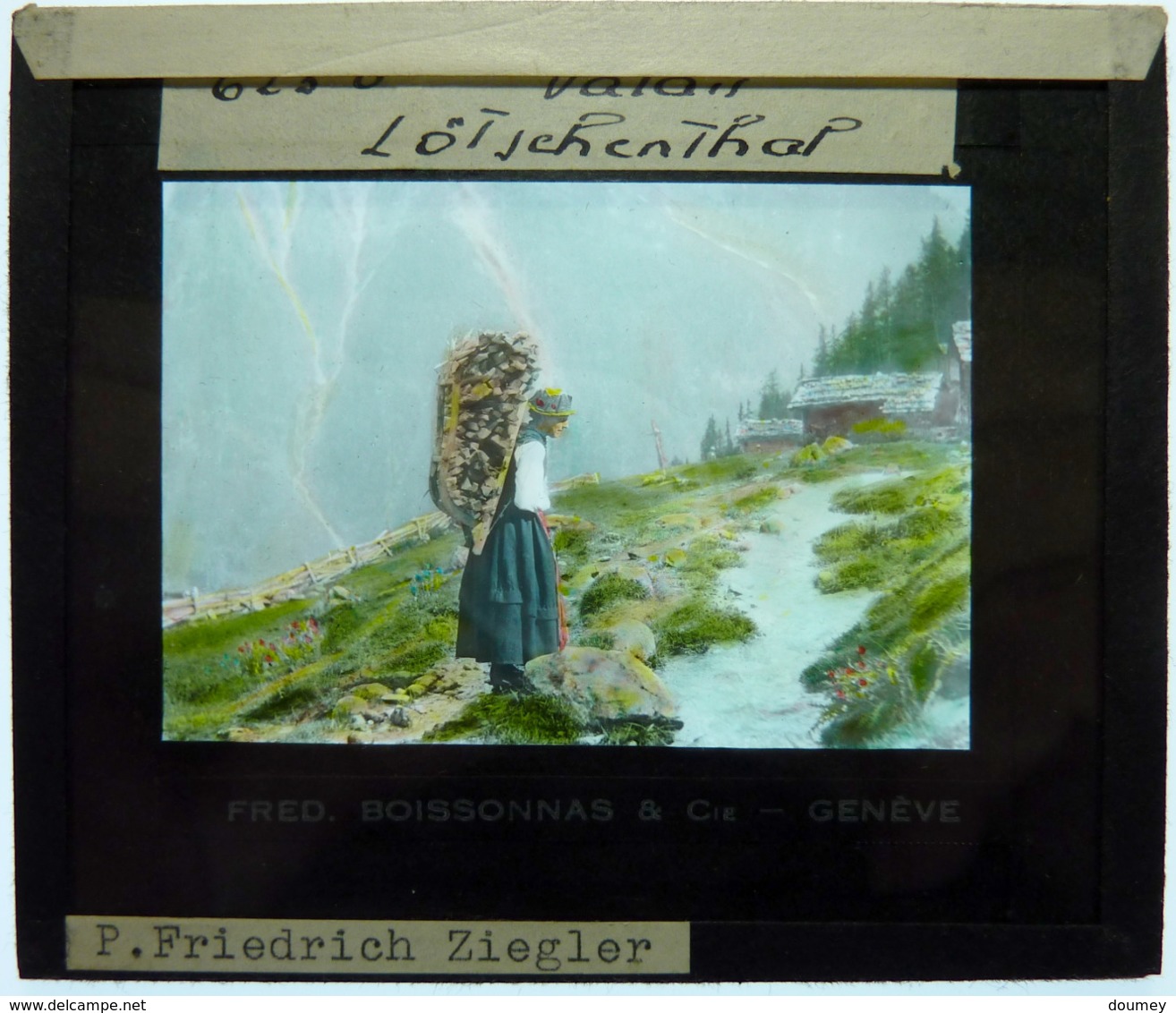 PHOTO D'UN ENSEMBLE ETHNOLOGIQUE ET GEOGRAPHIQUE SUR LA SUISSE - Glass Slides