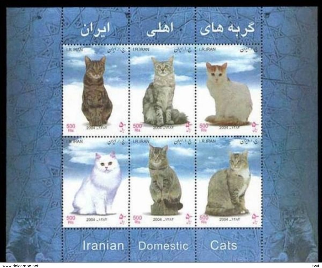 Iran, 2004. Cats - Domestic Cats