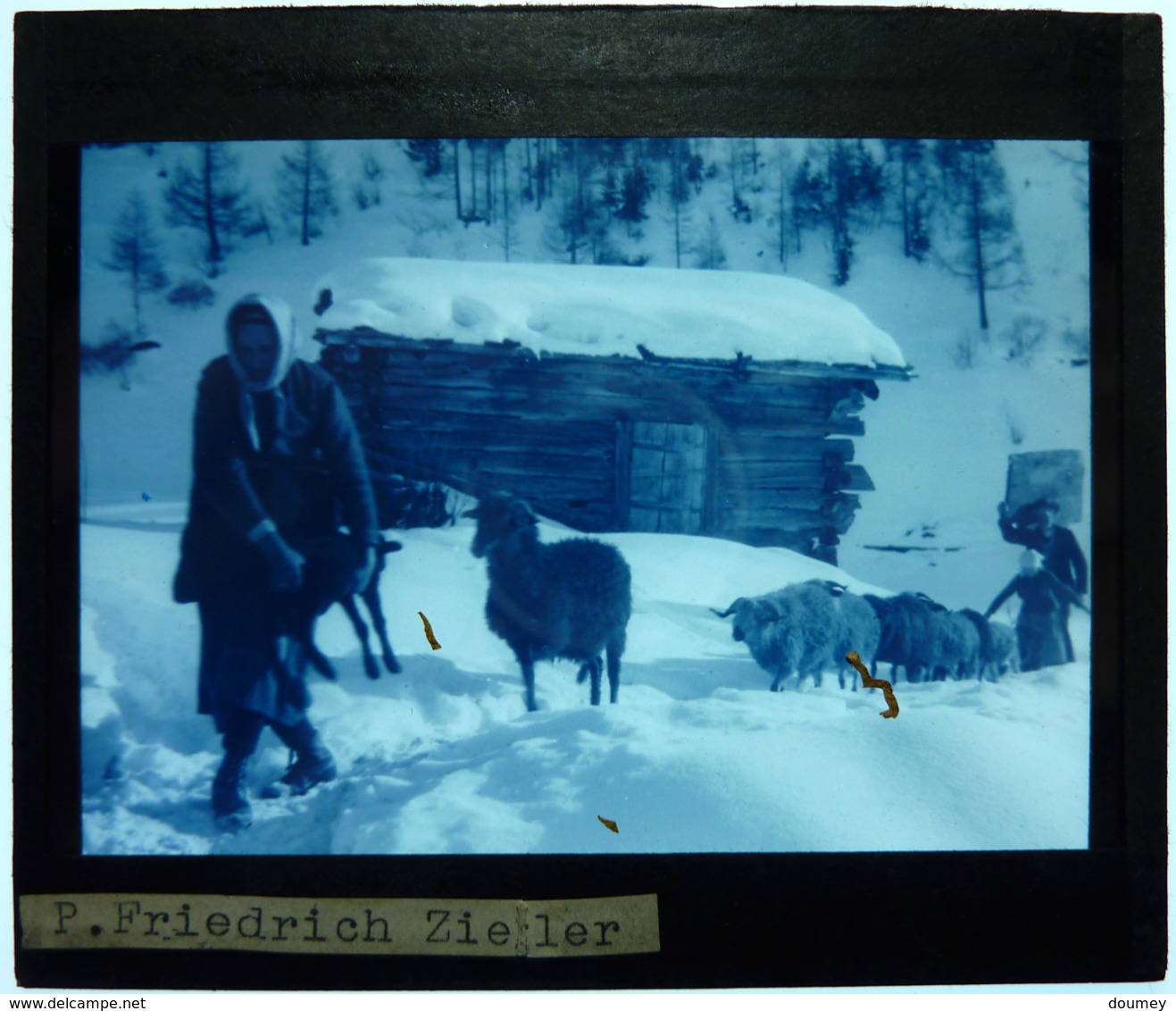 PHOTO D'UN ENSEMBLE ETHNOLOGIQUE ET GEOGRAPHIQUE SUR LA SUISSE - Glass Slides