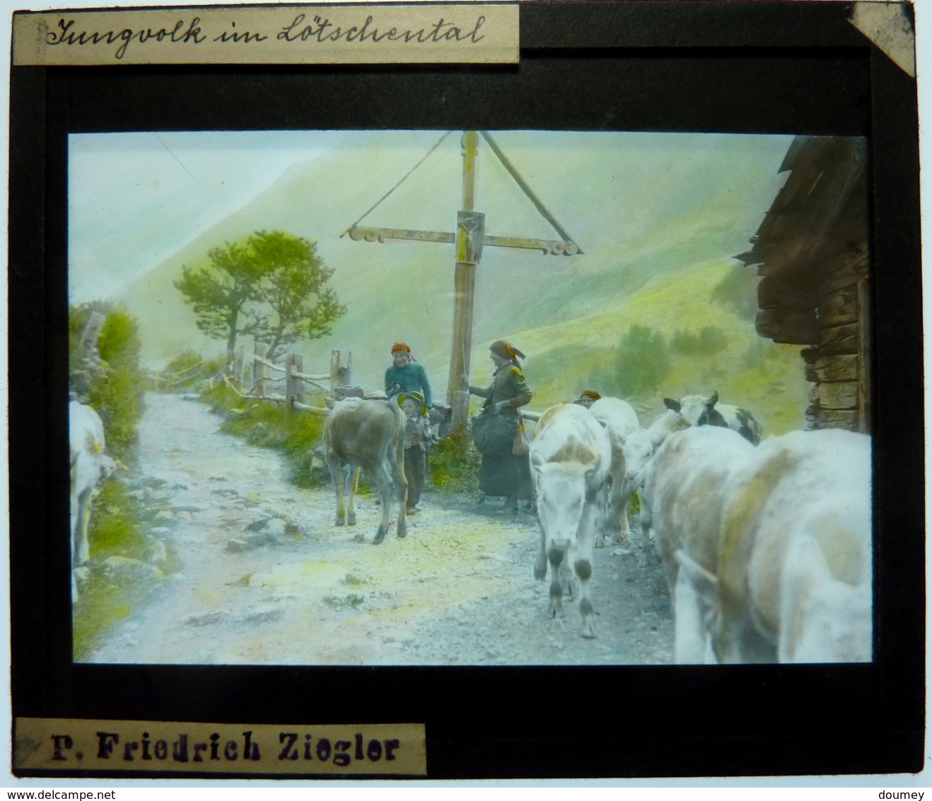 PHOTO D'UN ENSEMBLE ETHNOLOGIQUE ET GEOGRAPHIQUE SUR LA SUISSE - Plaques De Verre