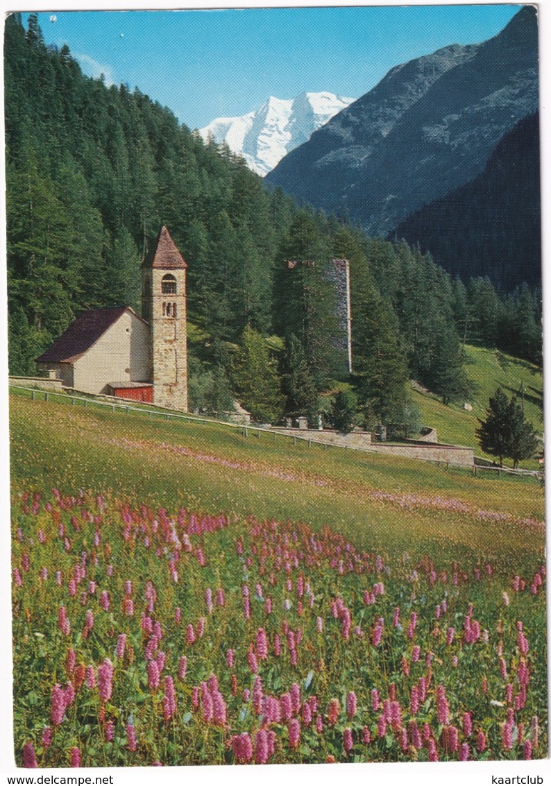 Kirche Sta. Maria Mit Piz Palü Pontresina -  (Suisse/Schweiz) - Pontresina