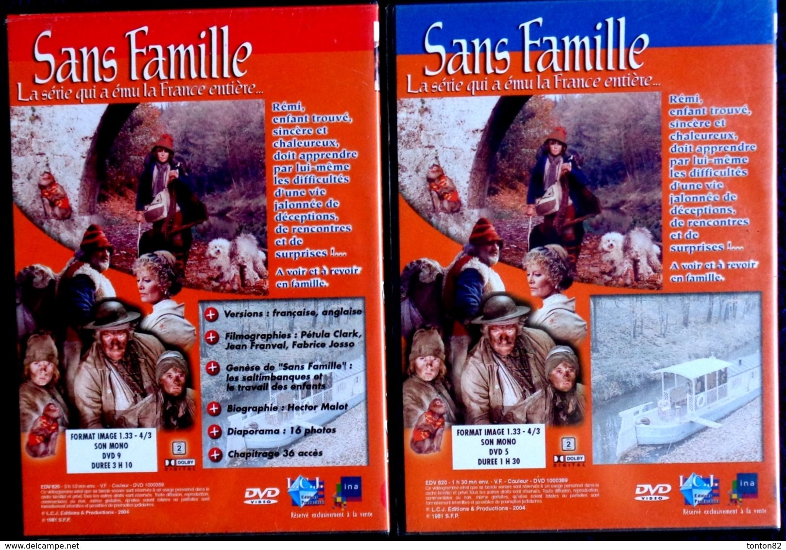 "Les Trésors De La Télévision " - Sans Famille - Feuilleton TV De 1981 - ( Deux DVD ) - - TV-Serien