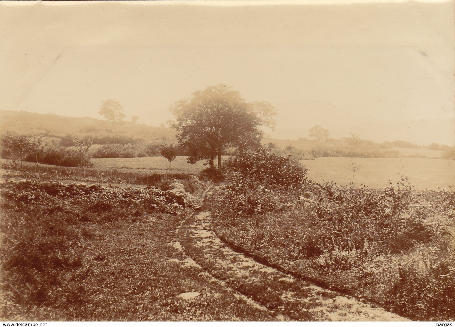 Rare Photo De 1896 PORT LESNEY Septembre 1896 Vieux Chemin Jura Bourgogne Franche Comté Format 17x12cm - Orte