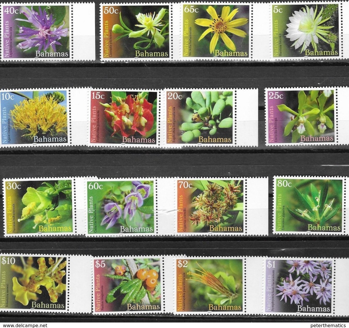 BAHAMAS, 2019, MNH, NATIVE PLANTS, FLOWERS, DEFINITIVES, 16v - Other & Unclassified