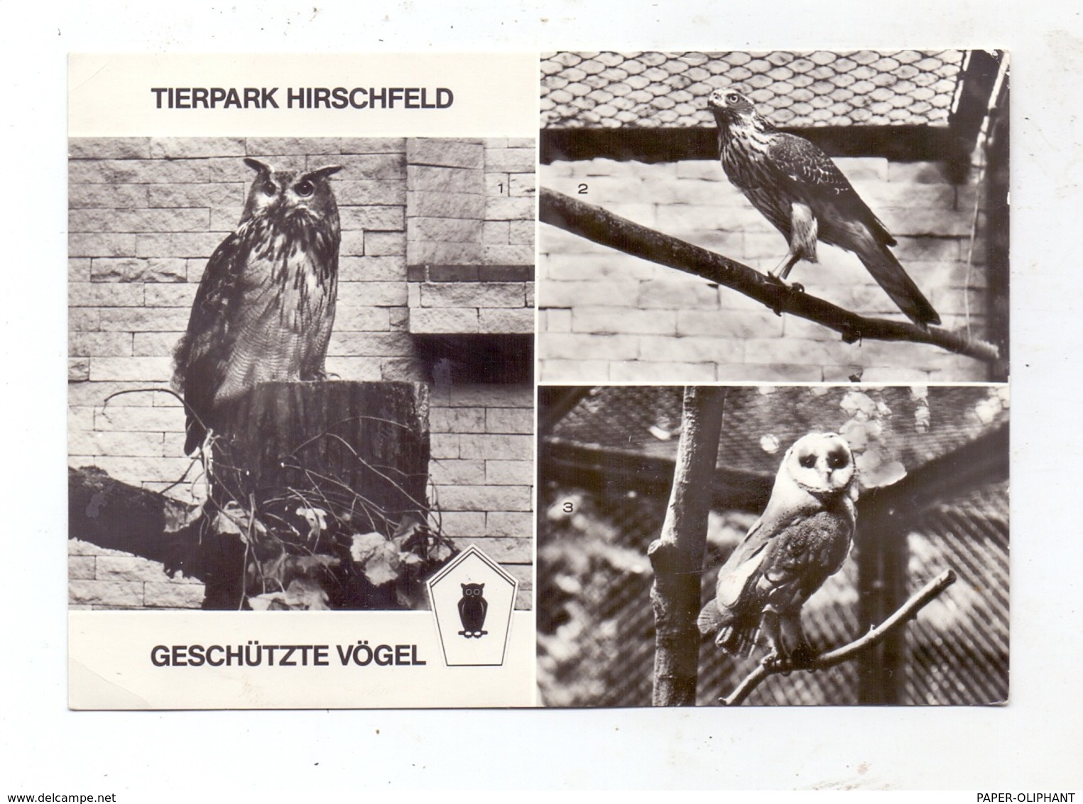 TIERE - EULEN / Owls / Buho / Hibou / Uil / Gufo - EULE, Tierpark Hirschfeld - Birds