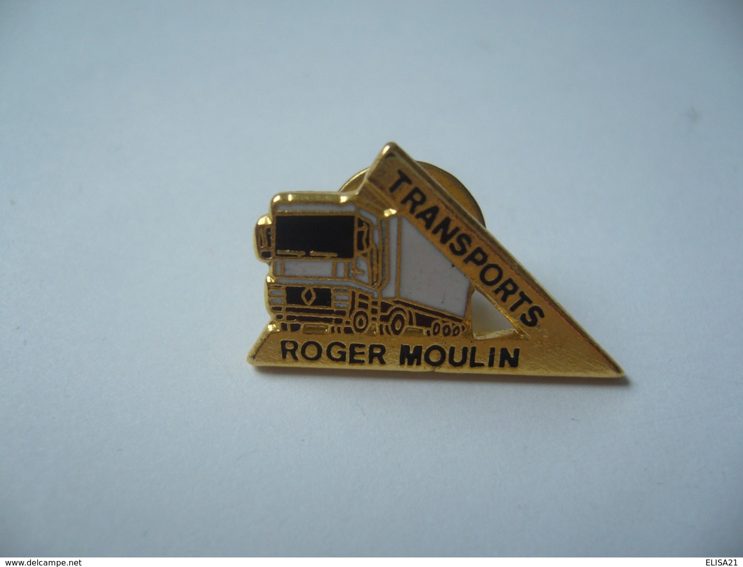 PIN'S  TRANSPORTS ROGER MOULIN - Trasporti