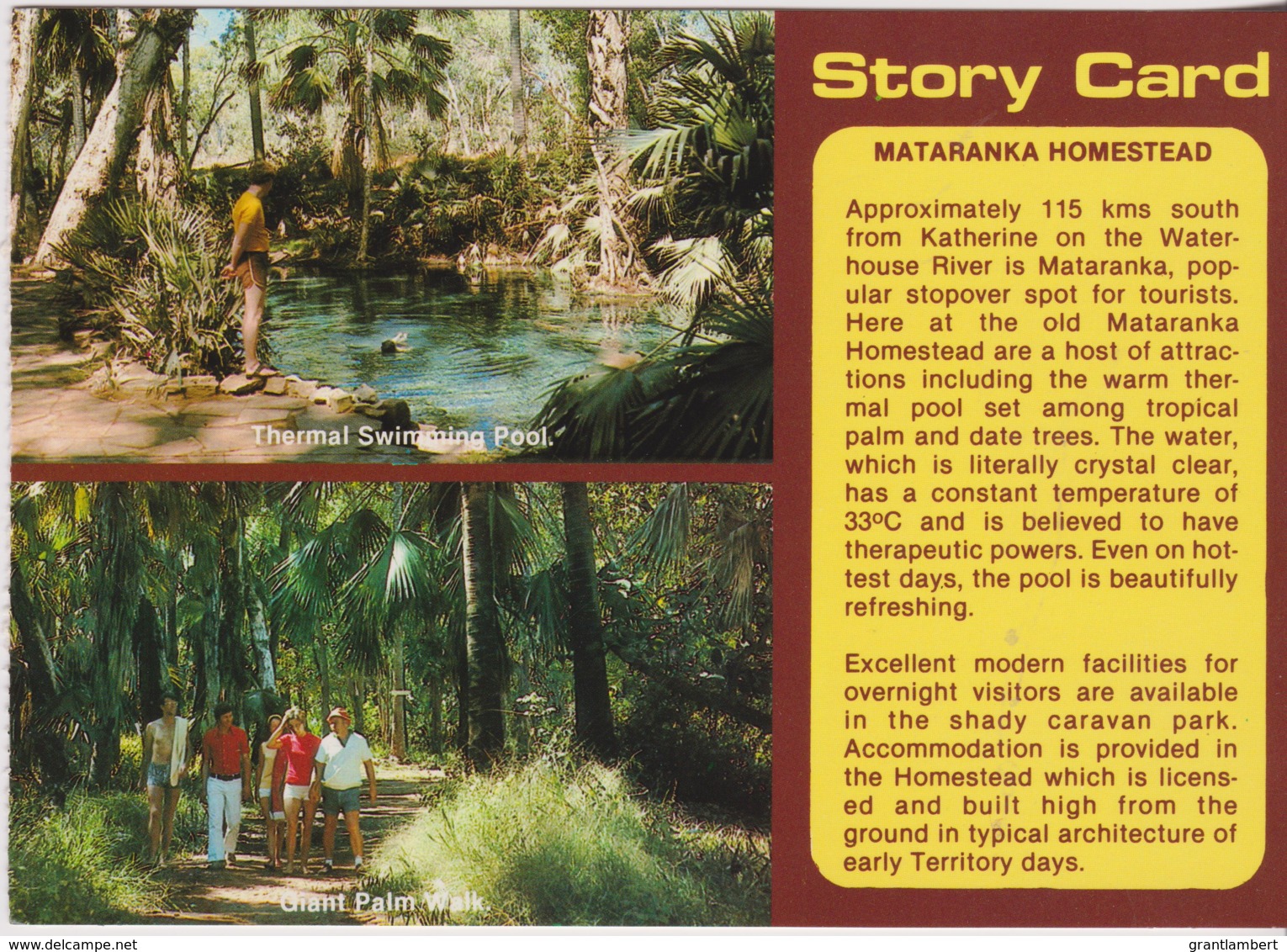 Mataranka Homestead Story Card, Northern Territory - Unused - Unclassified