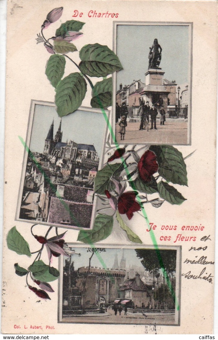 CHARTRES JE VOUS ENVOIE CES FLEURS CARTE FANTAISIE - Chartres