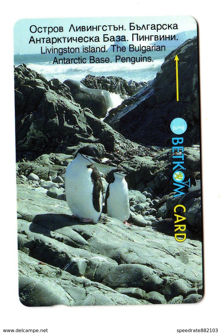 Bulgaria, Livingston Island, Penguins, Phonecard - Bulgarie