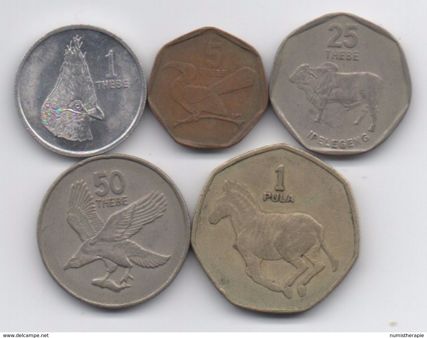 Botswana : Série De 5 Pièces 1976-2002 - Botswana