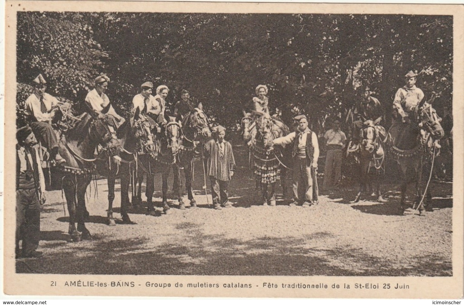 CPA AMELIE LES BAINS 63 - Groupe De Muletier Catalans - Sonstige & Ohne Zuordnung