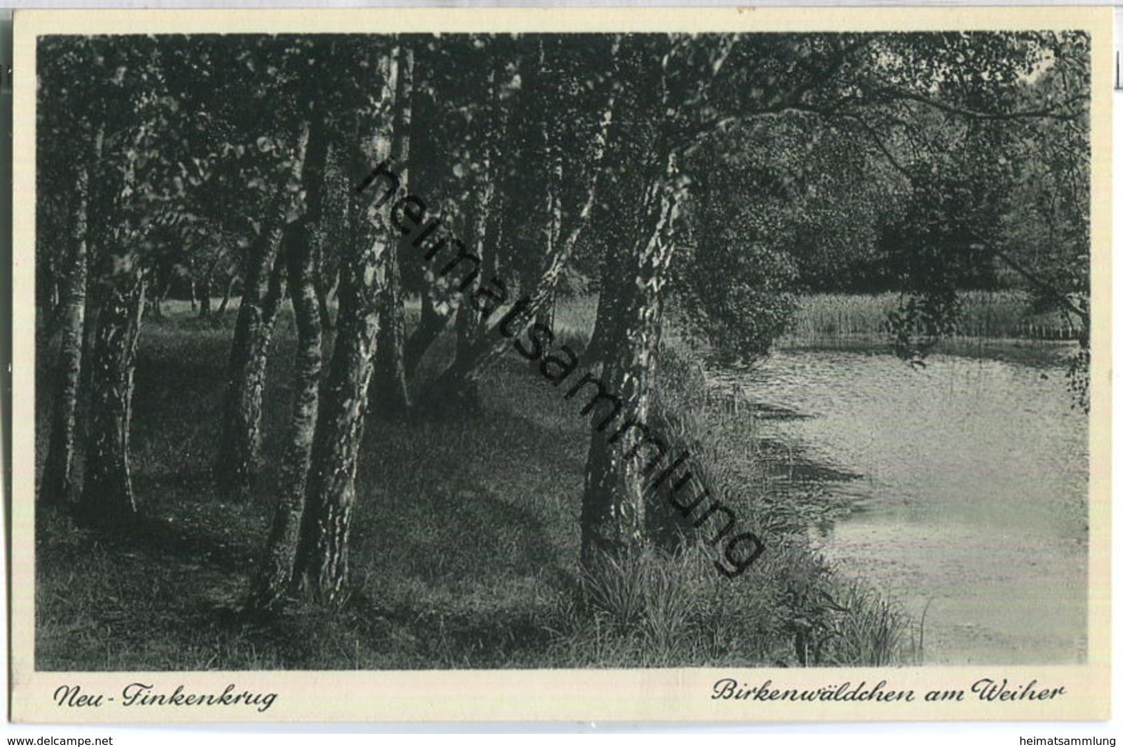 Neu-Finkenkrug - Birkenwäldchen Am Weiher - Verlag J. Goldiner Berlin 40er Jahre - Falkensee