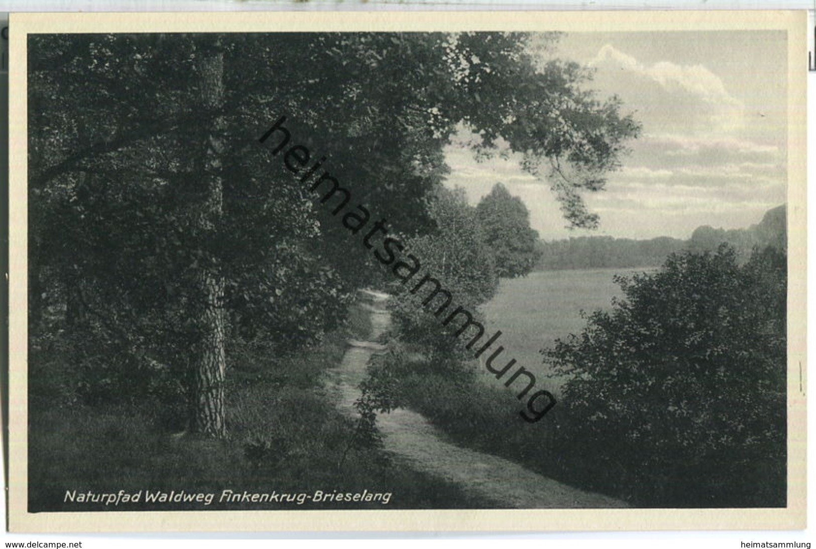 Finkenkrug - Naturpfad - Waldweg - Verlag Atelier John Falkenhain 40er Jahre - Falkensee