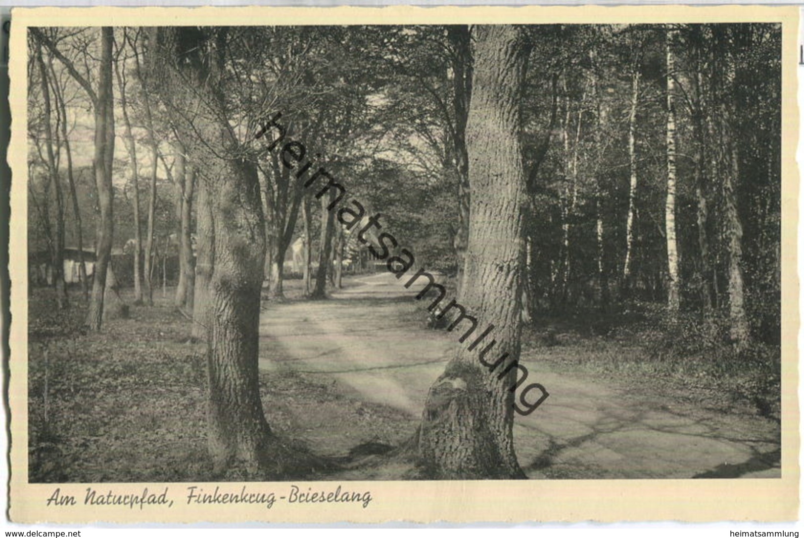 Finkenkrug - Am Naturpfad - Verlag Atelier John Falkenhain 40er Jahre - Falkensee