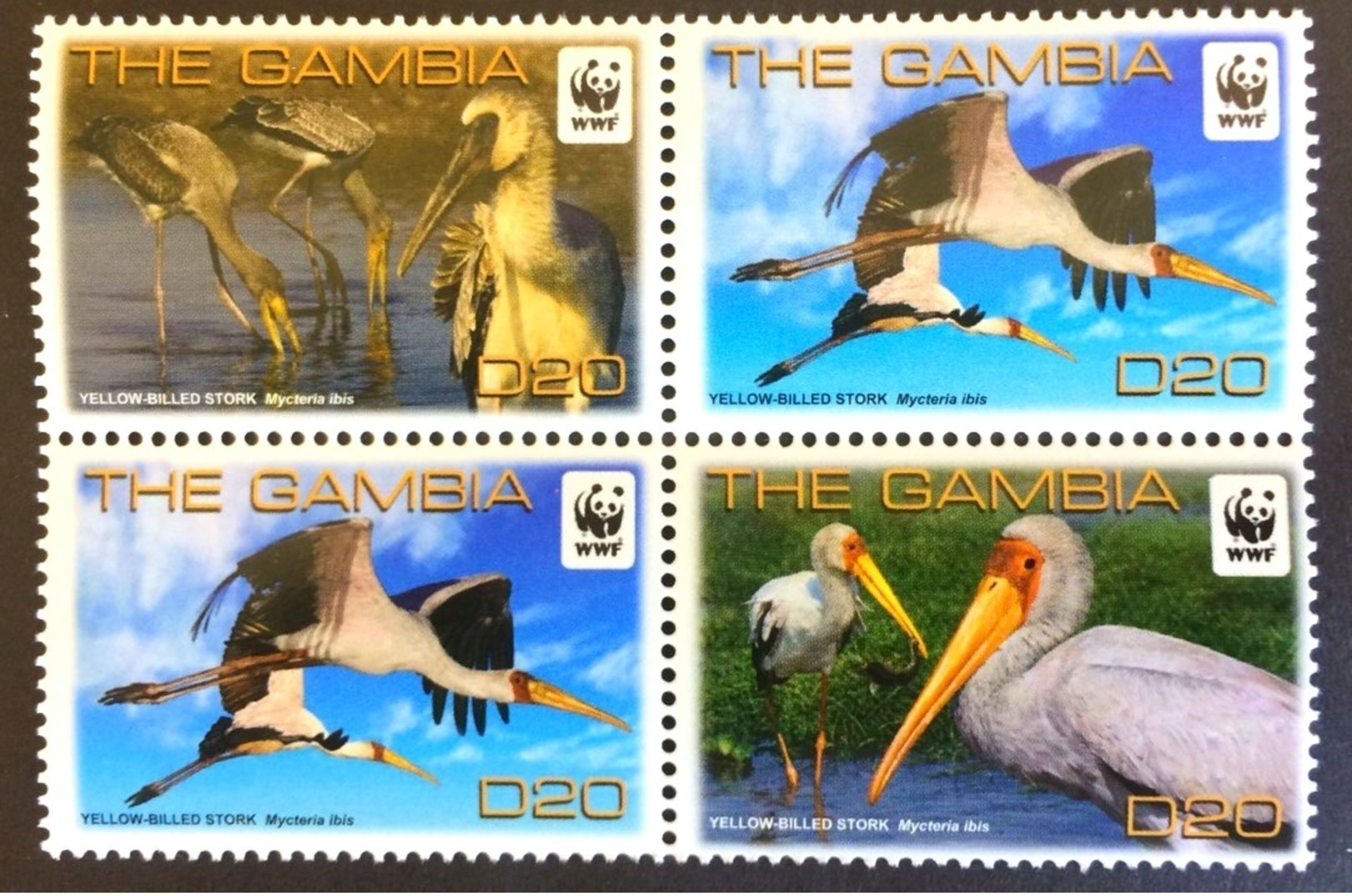 # Gambia 2011**Mi.6499-02 WWF , Yellow-Billeds Stork , MNH [26;89] - Collections, Lots & Series
