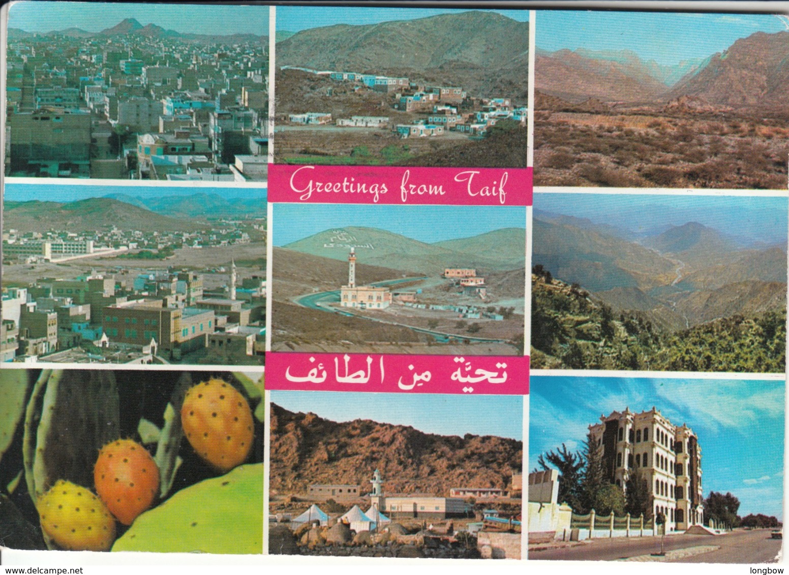 Greetings From Taif  , Saudi Arabia - Arabia Saudita