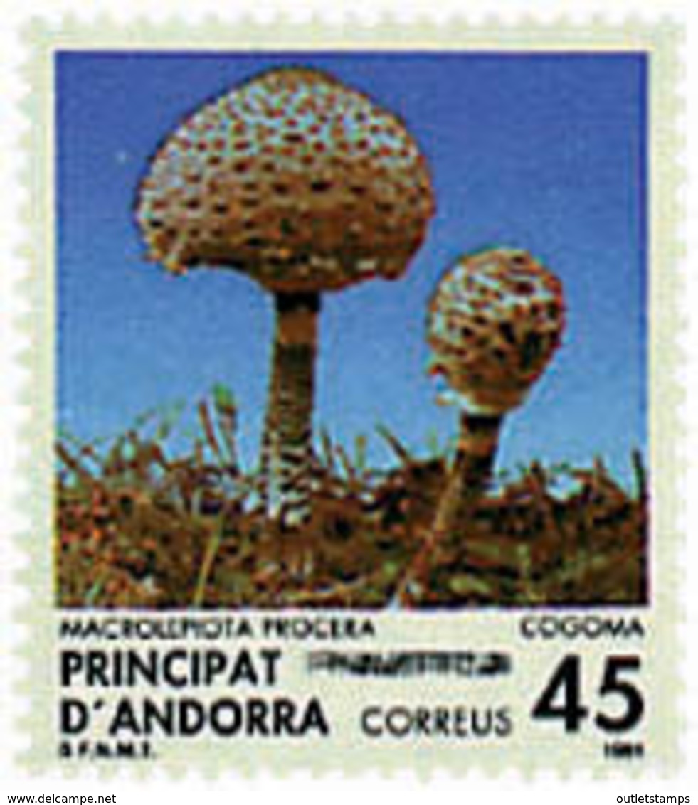 Ref. 36247 * NEW *  - ANDORRA. Spanish Adm. . 1991. MUSHROOMS. SETAS - Neufs