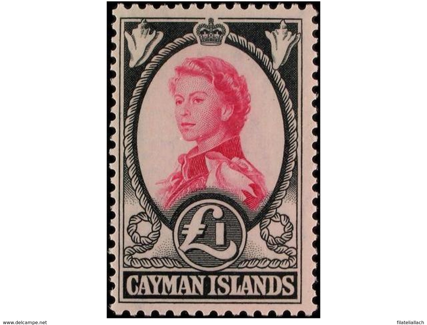 CAYMAN ISLANDS - Cayman (Isole)