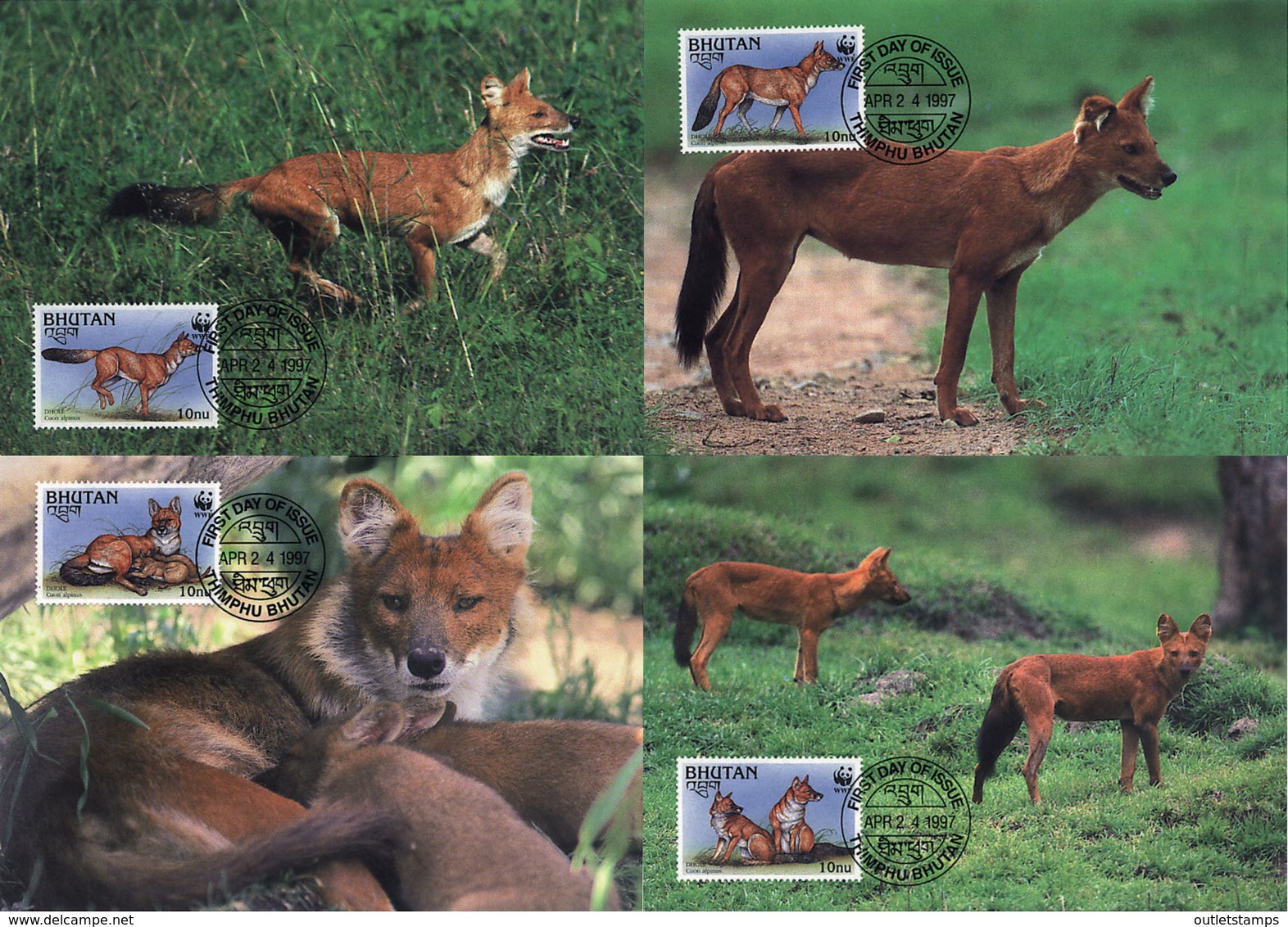 Ref. 7435 * NEW *  - BHUTAN . 1997. DHOLE ASIATIC RED DOG. PERRO ROJO ASIATICO - Bhután