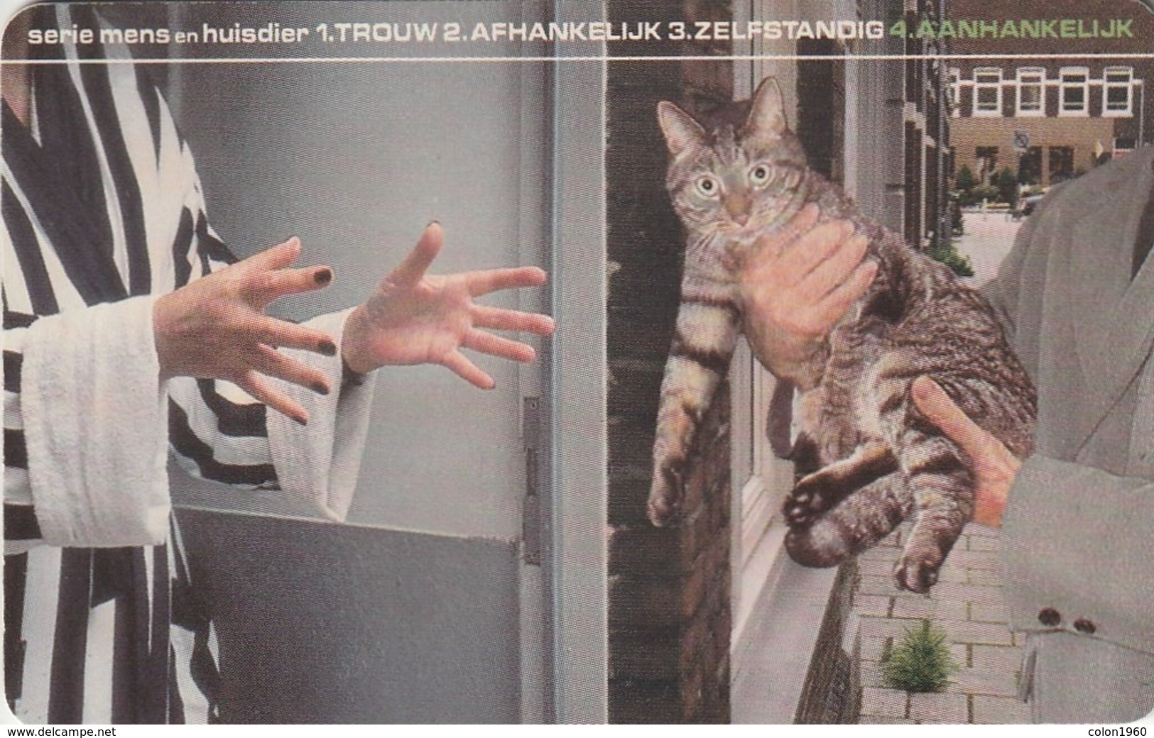 HOLANDA. GATOS. People & Pets, Affectionate. 10G. CD 004.04d (121) - Gatos