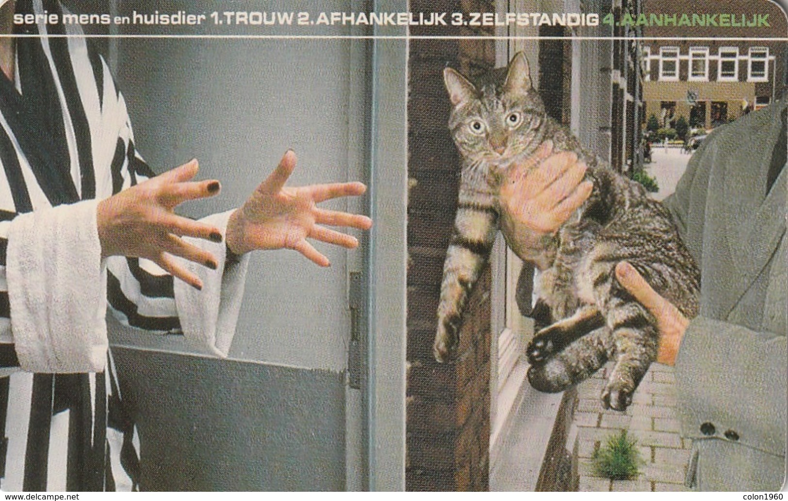 HOLANDA. GATOS. People & Pets, Affectionate. 10G. CD 004-04c (120) - Cats