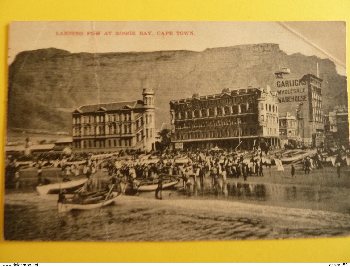 CAPE TOWN LANDING FISH AT ROGGE BAY - Afrique Du Sud