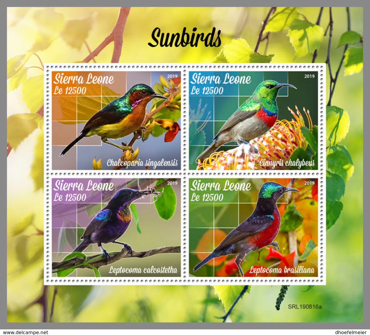 SIERRA LEONE 2019 MNH Sunbirds Sonnenvögel M/S - OFFICIAL ISSUE - DH1942 - Altri & Non Classificati