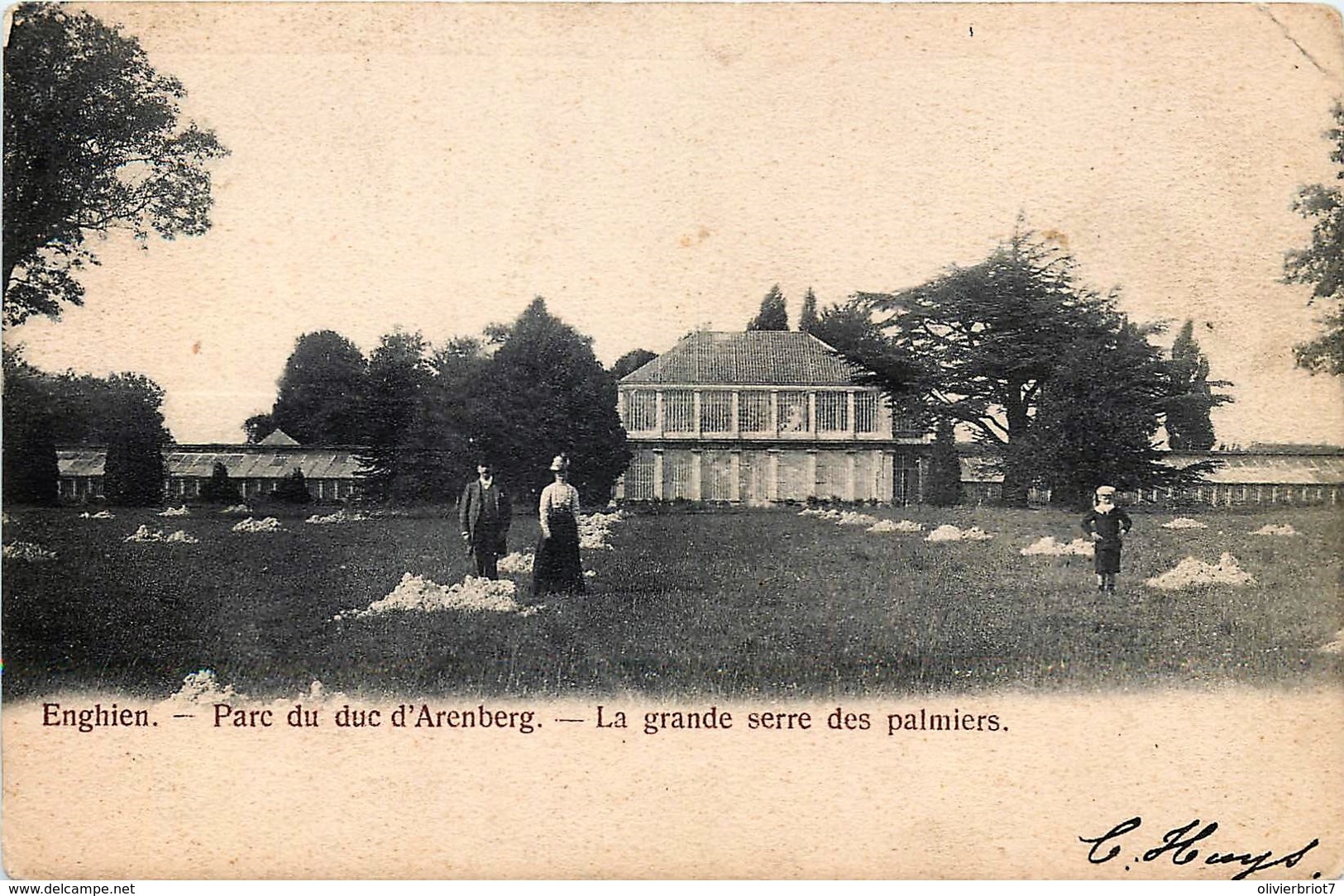 Enghien - Parc Du Duc D' Arenberg - La Grande Serre Des Palmiers - Enghien - Edingen