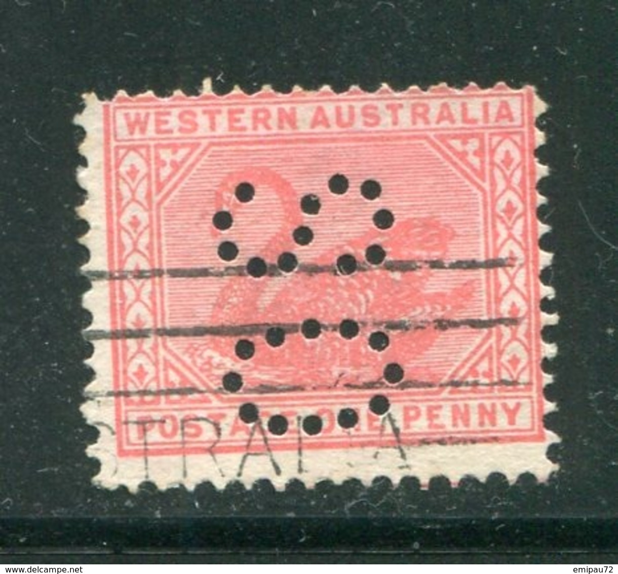 AUSTRALIE OCCIDENTALE- Service Y&T N°36 (A)- Oblitéré (cygnes) - Oblitérés