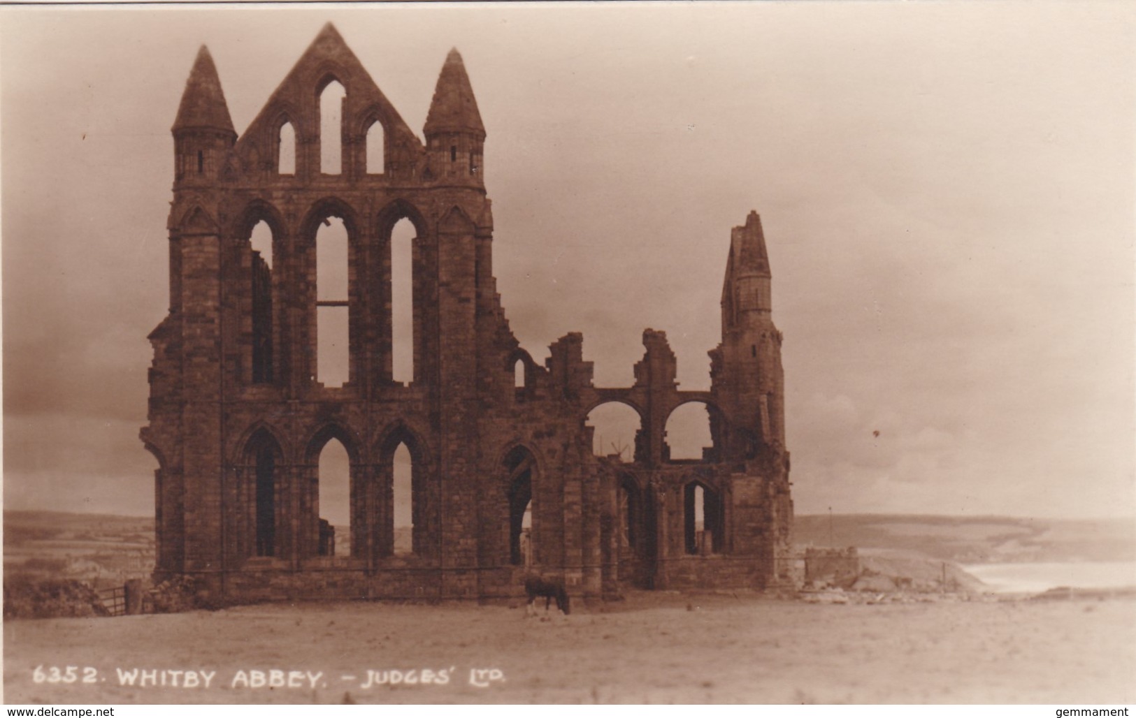 WHITBY ABBEY. JUDGES. - Whitby