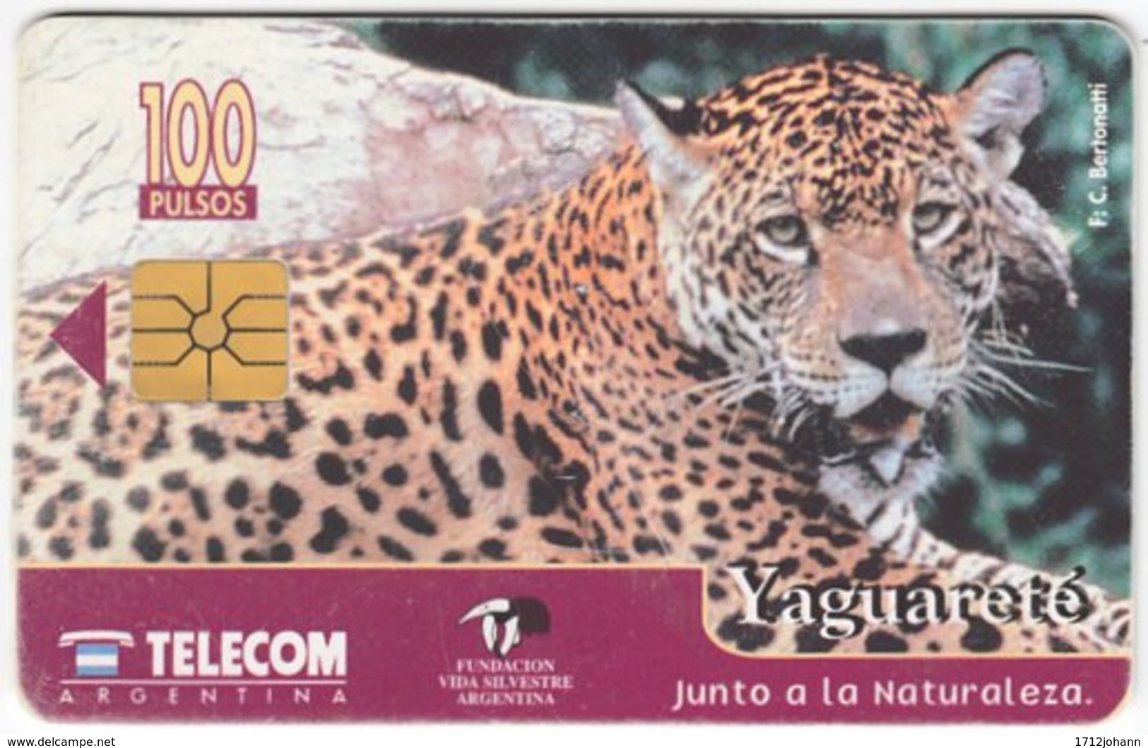 ARGENTINIA A-342 Chip Telecom - Animal, Cat, Jaguar - Used - Argentine