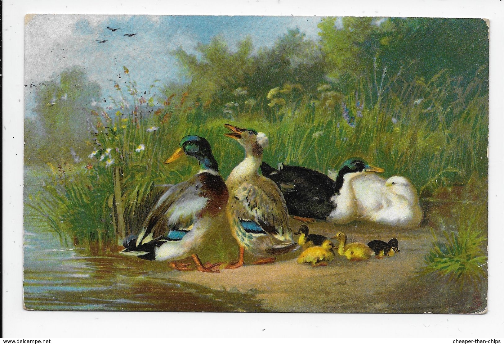 "The Poultry Farm" - Ducks Tuck Art Series 6945 - Oiseaux