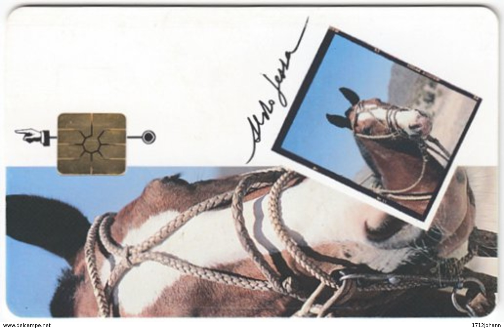 ARGENTINIA A-349 Chip Telecom - Occupation, Gaucho, Animal, Horse - Used - Argentina