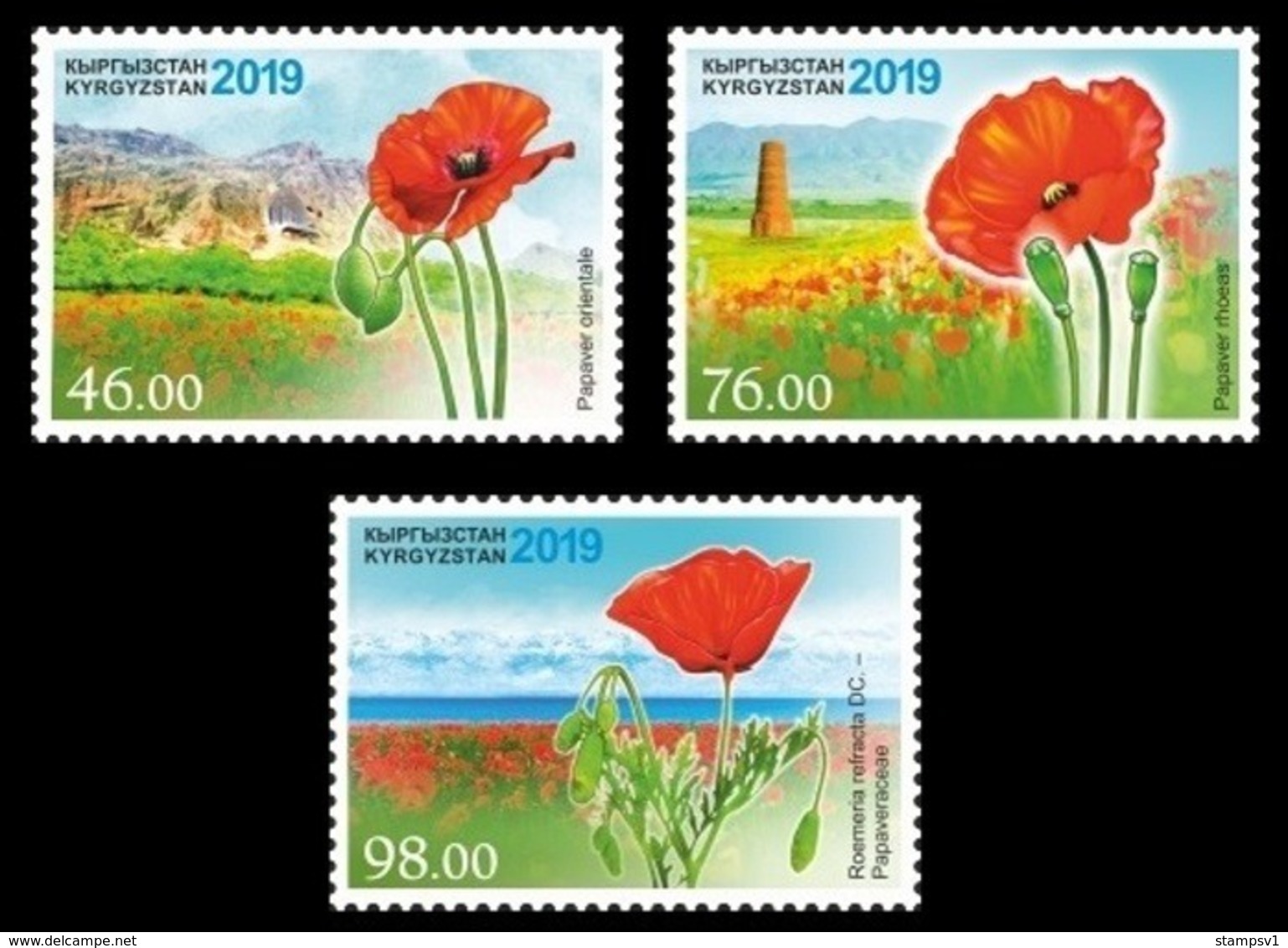 Kyrgyzstan. 2019  Flora. Poppy. - Kyrgyzstan